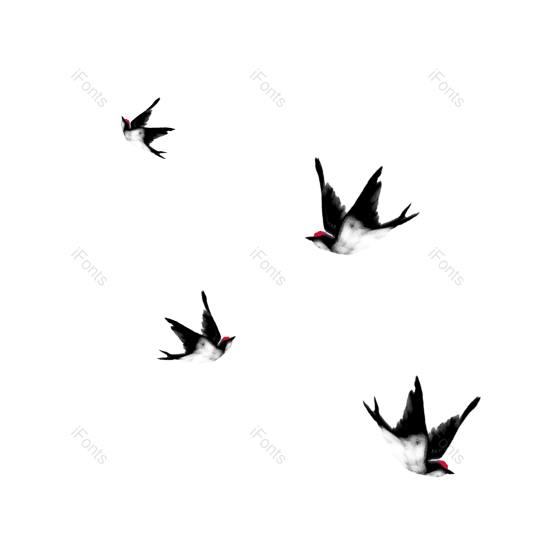 动物插画图片,飞鸟元素,动物PNG,免抠素材